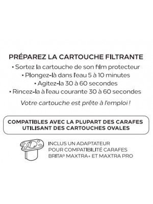 La Carafe filtrante en plastique Azuré Alpin